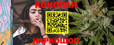 крисы Славянск-на-Кубани