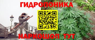 mix Сланцы